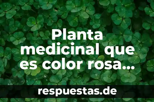 Que es una planta telefónica 4 Planta medicinal que es color rosa cuando se seca