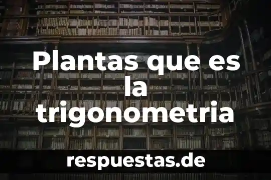 Nombres de plantas medicinales y que es lo que cura 5 Plantas que es la trigonometria