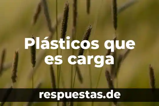 Que es la carga por razonamiento 3 Plásticos que es carga