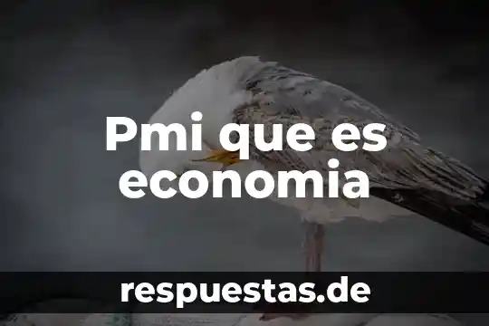 Que es erario en economia 6 Pmi que es economia