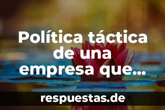 Planeacion tactica que es y ejemplos 5 Política táctica de una empresa que es