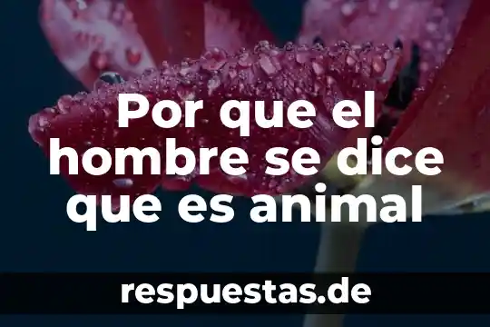 Que es timon animal 4 Por que el hombre se dice que es animal