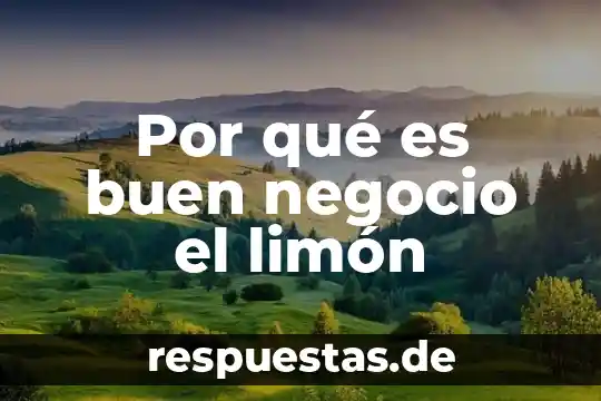 Rangos de trolox para saber que es un buen antiooxidante 5 Por qué es buen negocio el limón