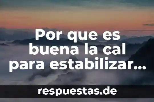 Que es la buena gobernanza 5 Por que es buena la cal para estabilizar suelos