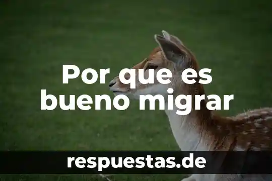 Que es bueno para la conjuntivitis en adultos 5 Por que es bueno migrar