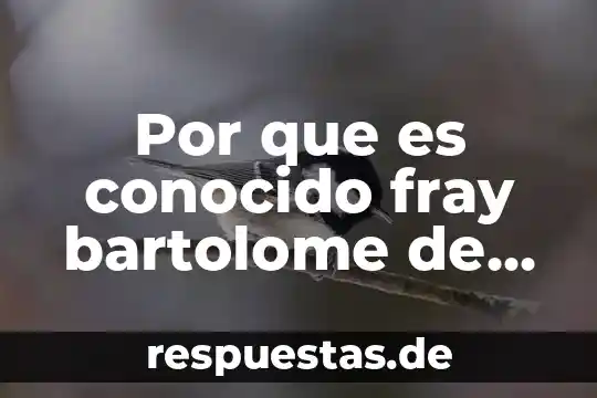 Por que es conocido fray bartolome de las casas