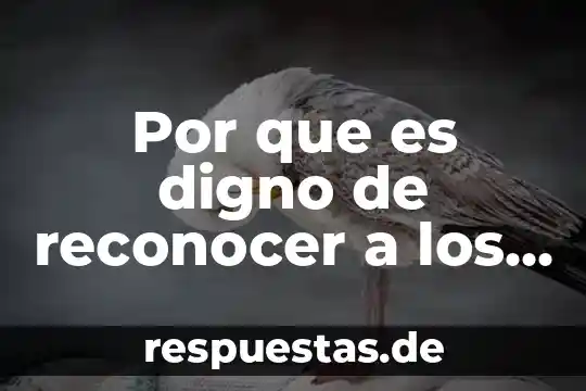 Que es la fiscalia especializada en grupos vulnerables 8 Por que es digno de reconocer a los grupos indígenas
