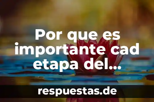 Qué es la epistemología genética de Piaget 5 Por que es importante cad etapa del desarrollo segun piaget
