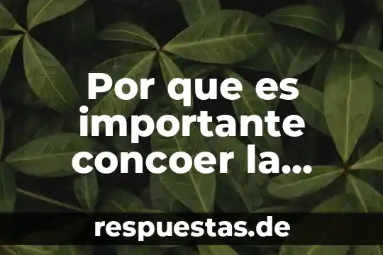 Por que es importante concoer la clasificacion de arboles