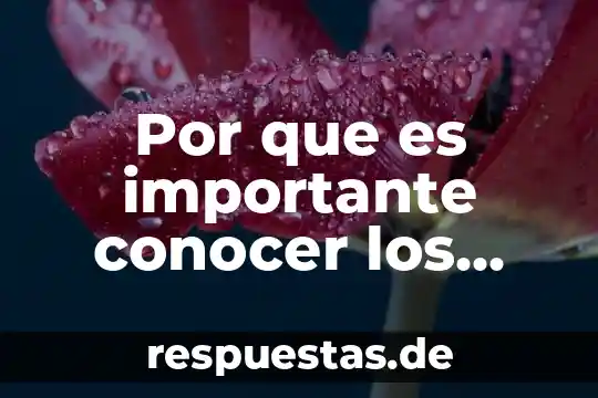 Por que es importante conocer los planos televisivos