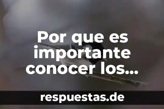 Por que es importante conocer de historia 3 Por que es importante conocer los tipos de seguros