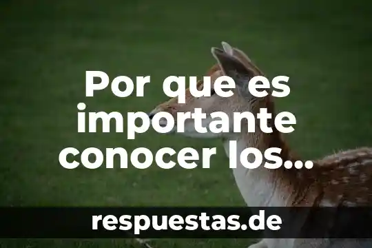 Que es conocer para el ser humano 6 Por que es importante conocer los tipos de soluciones