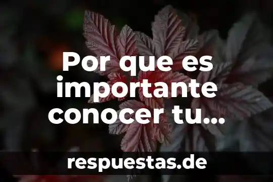 Que es conocer para el ser humano 7 Por que es importante conocer tu familia
