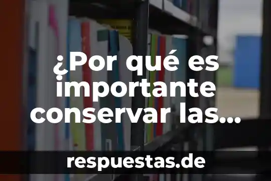 Especies de comida que es 3 ¿Por qué es importante conservar las especies de murciélagos?