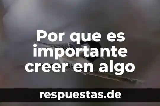 Que es algo plano 4 Por que es importante creer en algo