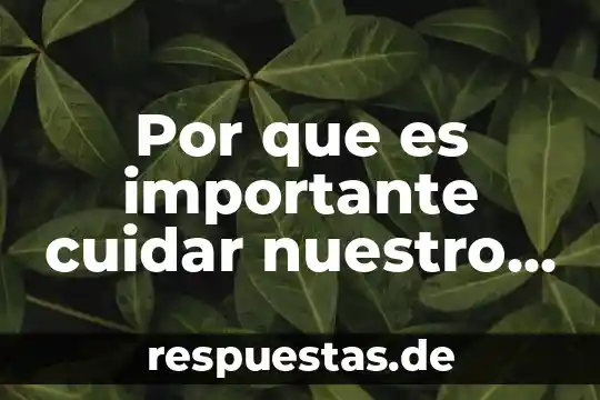 Que es asombro y porque es importante para la filosofia 6 Por que es importante cuidar nuestro sistema