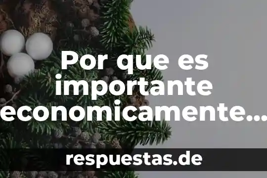 Que es poblacion economicamente activa en el peru 3 Por que es importante economicamente el berilio