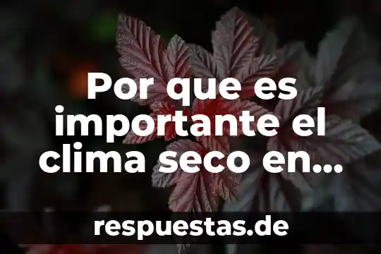 Que es el clima para niños de preescolar 8 Por que es importante el clima seco en mexico