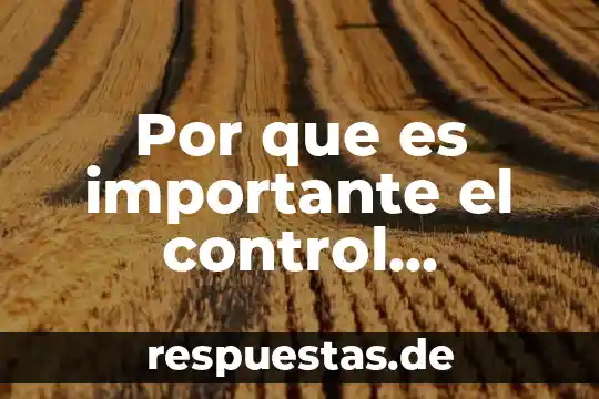 Por que es importante vsisitar los pinos 7 Por que es importante el control contable