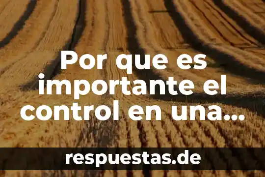 Por que es importante organizarse en una sociedad 5 Por que es importante el control en una empresa