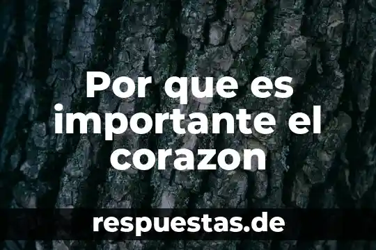 Que es ser puro de corazón 8 Por que es importante el corazon