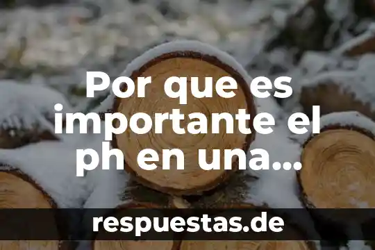 Por qué es importante lavandería en los hoteles 5 Por que es importante el ph en una solucion