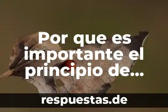Que es presion de pascal en fisica 6 Por que es importante el principio de pascal