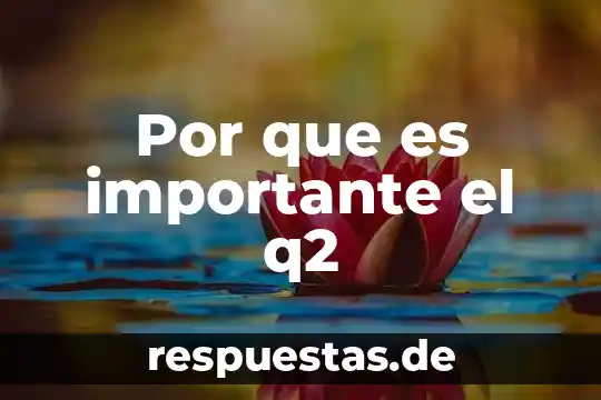 Por que es importante votar a conciencia 5 Por que es importante el q2
