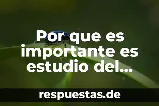 Qué es marco geográfico concepto 6 Por que es importante es estudio del espacio geografico