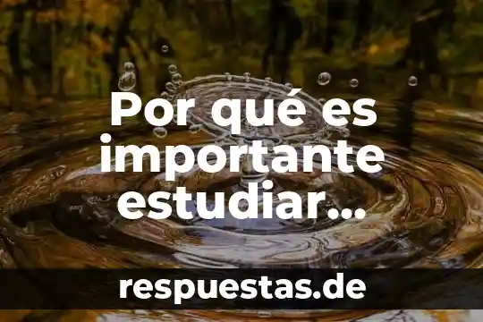 Que es asombro y porque es importante para la filosofia 4 Por qué es importante estudiar materialismo histórico