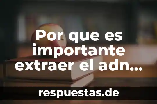Que es asombro y porque es importante para la filosofia 5 Por que es importante extraer el adn de las frutas