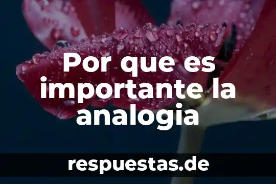 Que es la analogia del ser 8 Por que es importante la analogia