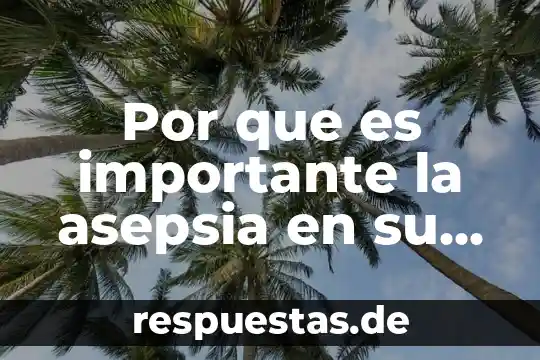 Vida cotidiana definición 3 Por que es importante la asepsia en su vida cotidiana