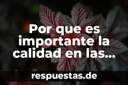 Por que es importante la calidad en las empresas