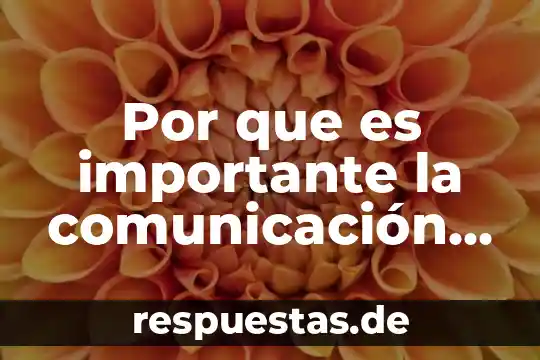 Que es la comunicación interpersonal en la organización 3 Por que es importante la comunicación interpersonal