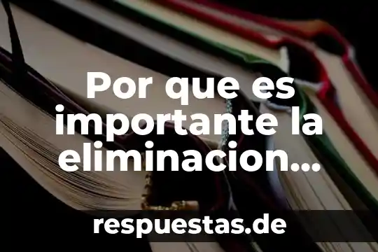 Artículos de por qué es importante la flora intestinal 3 Por que es importante la eliminacion intestinal en fisioterapia