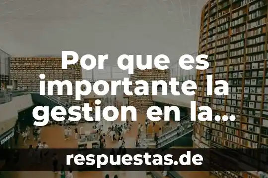 Que es asombro y porque es importante para la filosofia 3 Por que es importante la gestion en la escuela