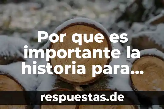 Que es ludica segun vigotsky 8 Por que es importante la historia para vigotsky