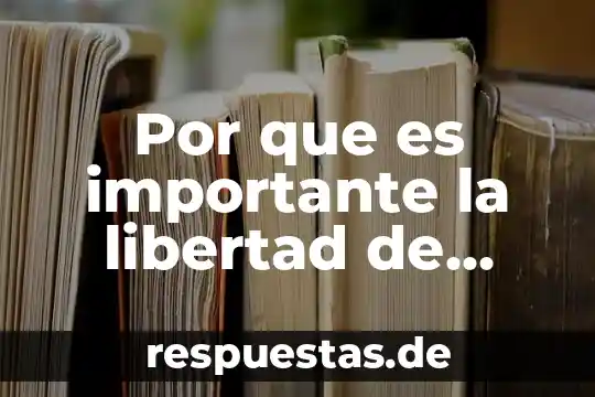 Por que es importante el uso de conexiones superficiales 5 Por que es importante la libertad de empresa