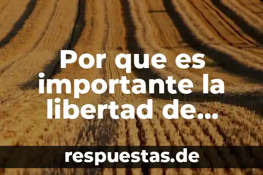 Por que es importante vsisitar los pinos 8 Por que es importante la libertad de expresion