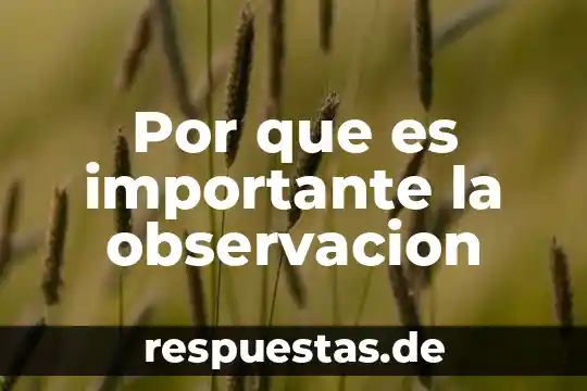 Por qué es importante lavandería en los hoteles 4 Por que es importante la observacion