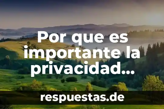 Que es el sello digital de la e firma 6 Por que es importante la privacidad digital