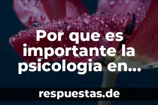 Por que es importante la psicologia en cuidados paliativos