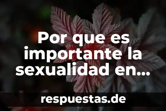 Por que es importante la sexualidad en el ser humano