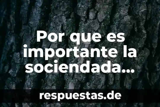Que es democracia y sociedad 3 Por que es importante la sociendada para la democracia