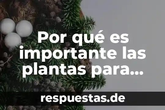 Por qué es importante las plantas para los seres vivos