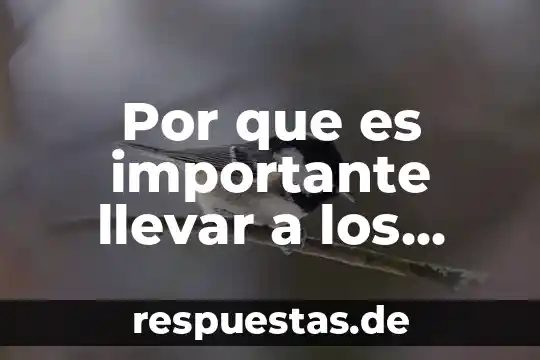 Por que es importante el movimiento en niños de preescolar 4 Por que es importante llevar a los niños a guarderia