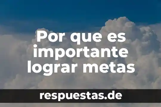 Que es libro de si 3 Por que es importante lograr metas
