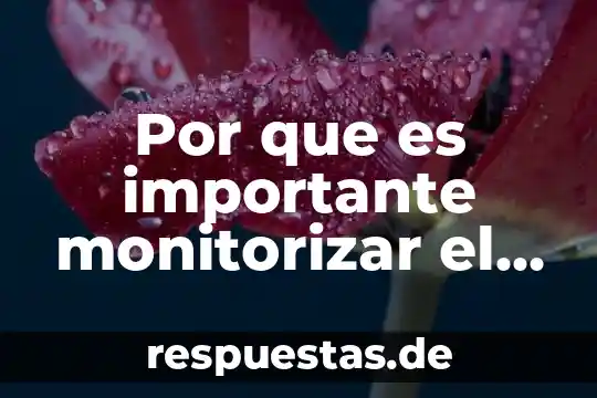 Que es el movimiento de la luna para una maqueta 4 Por que es importante monitorizar el movimiento respiratorio