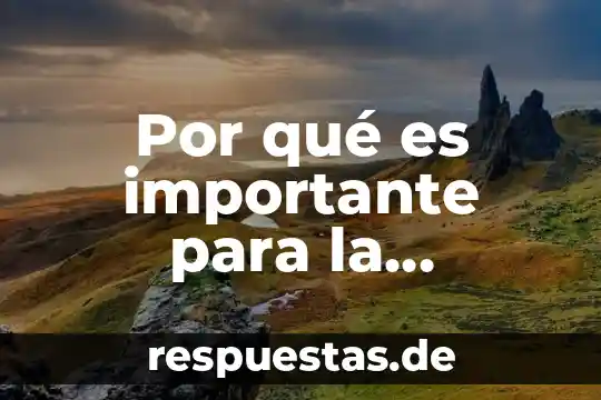 Por que es importante organizarse en una sociedad 6 Por quƩ es importante para la identidad nacional